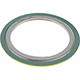 Flange Gasket: For 3" Pipe, Carbon Steel & Stainless Steel